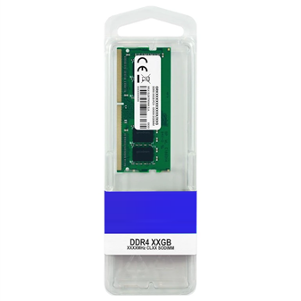 Memory (RAM)